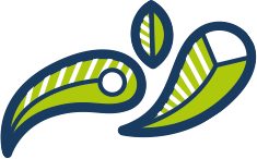 Ilustração pingos e folhas